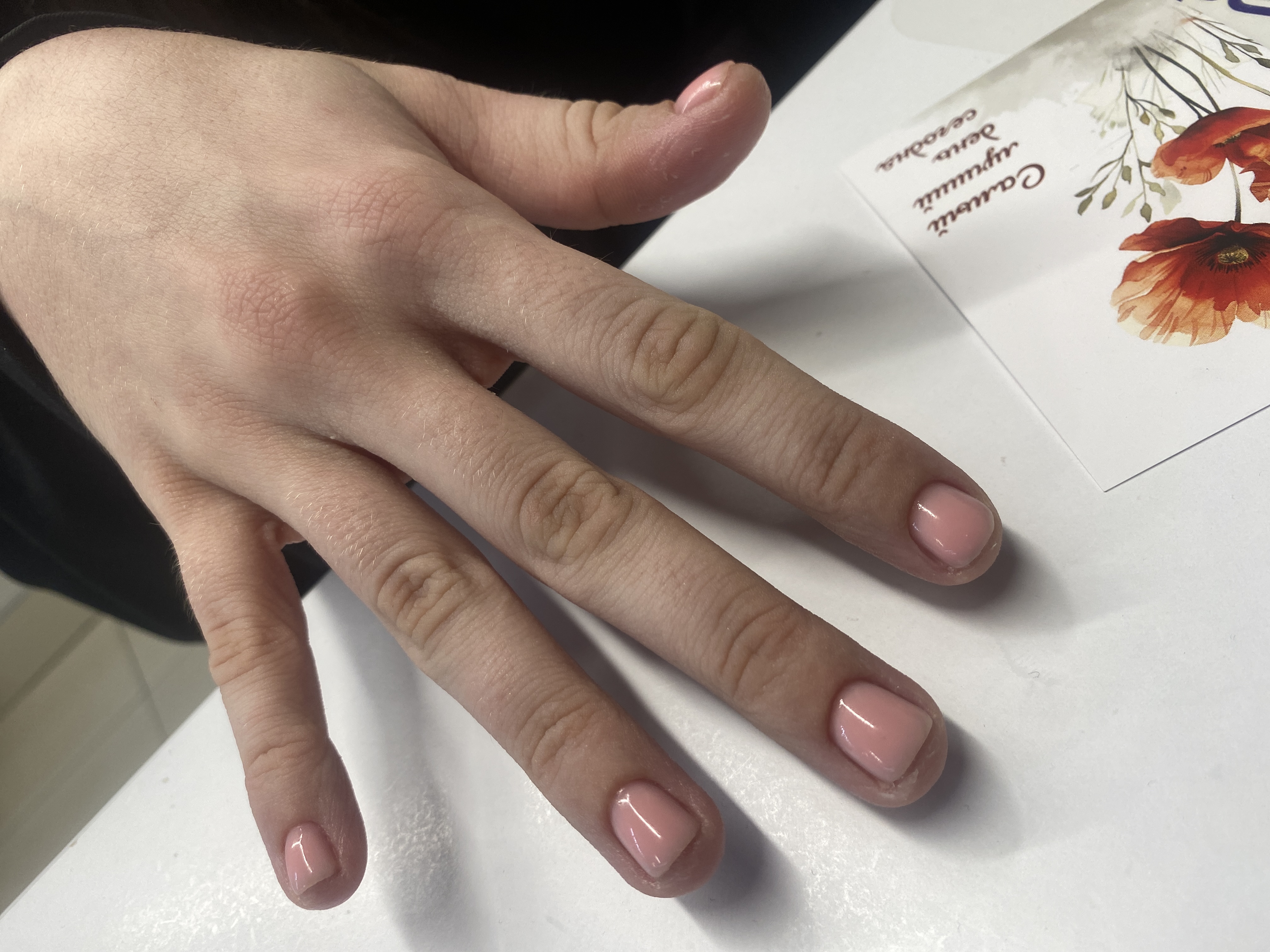 однотон, Маникюр, розовый, на каждый день