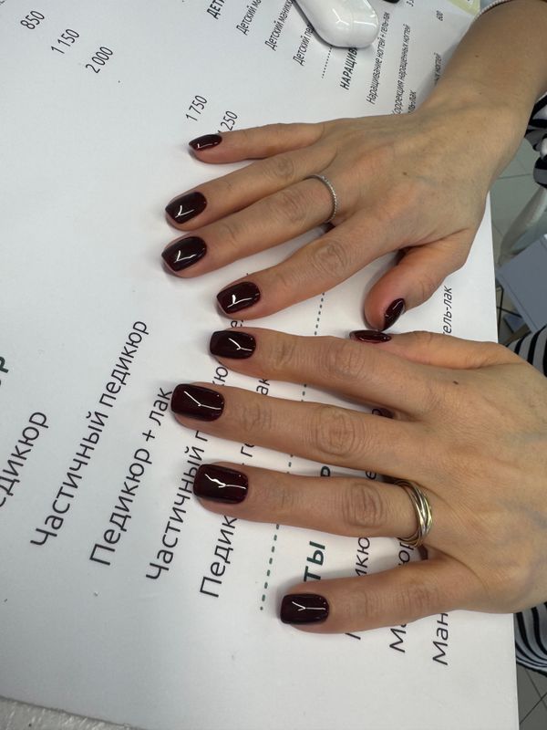 глянцевый, темный шоколад, однотон, Маникюр
