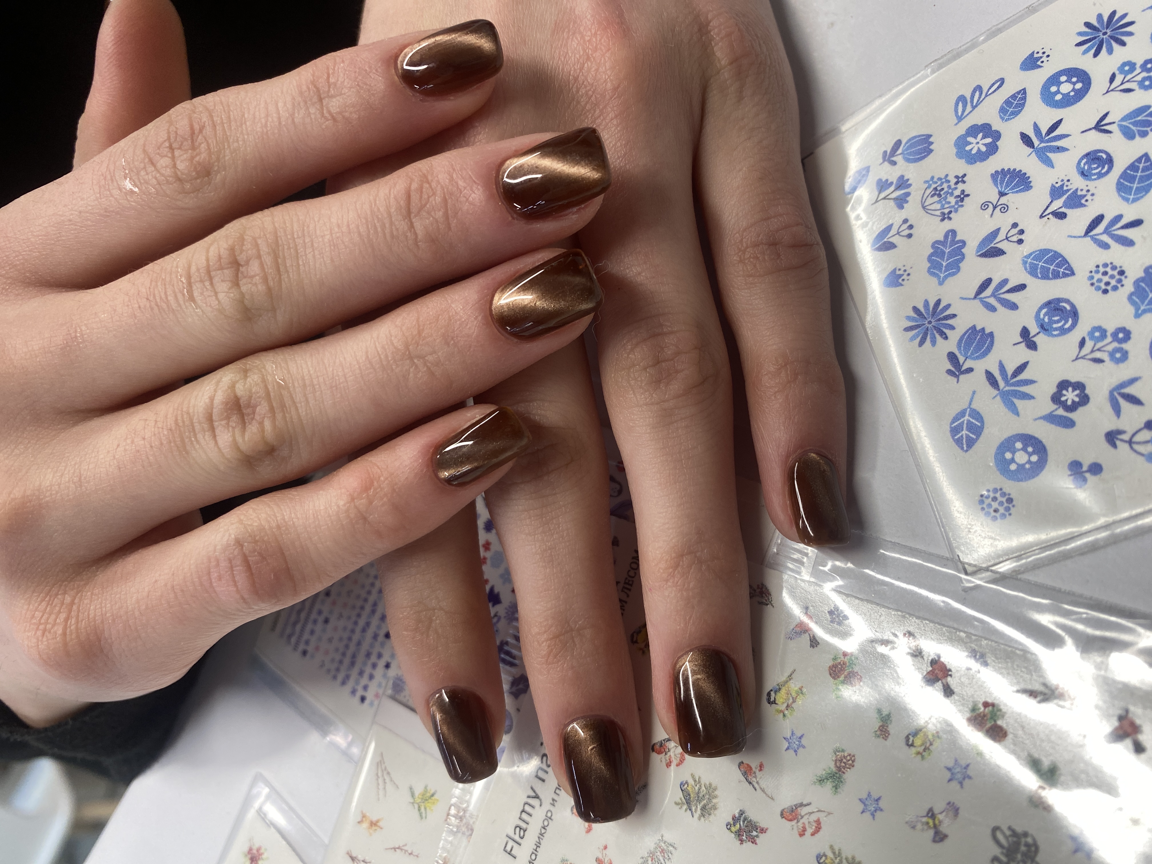 на каждый день, Маникюр, кошачий глаз, однотон, коричневый